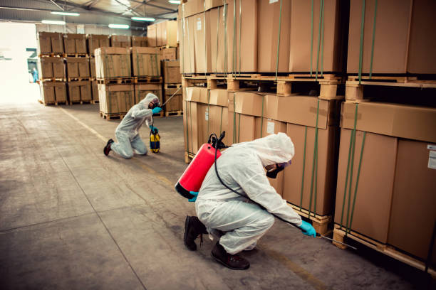 Best Pest Prevention Services  in Onalaska, TX