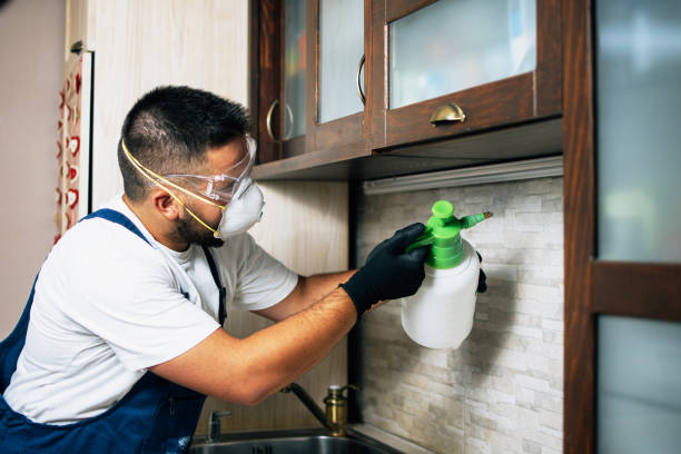 Best Best Pest Control Companies  in Onalaska, TX