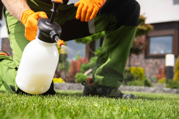 Best Termite Control Services  in Onalaska, TX