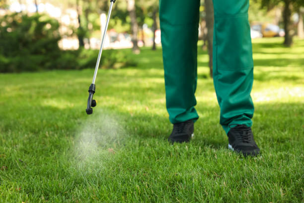 Best Insect Control  in Onalaska, TX