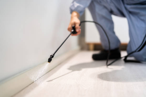 Flea Control Services in Onalaska, TX