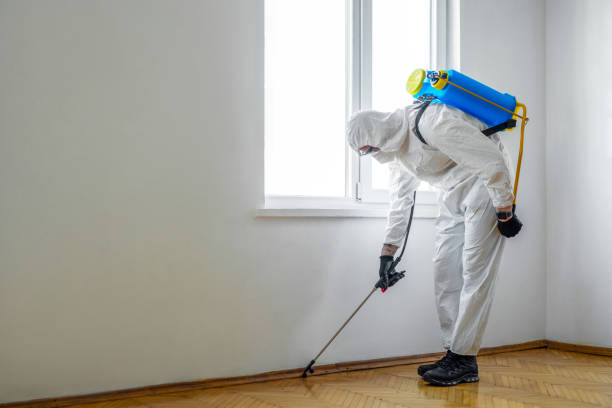Best Residential Pest Control  in Onalaska, TX