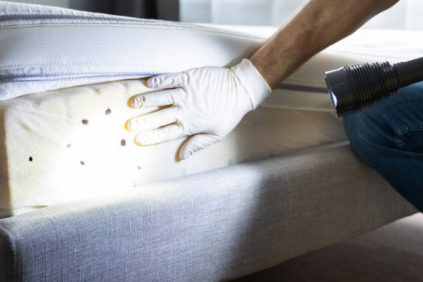 Best Pest Control Treatment  in Onalaska, TX