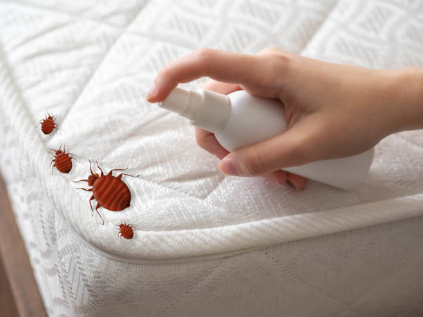 Best Affordable Pest Control Services  in Onalaska, TX