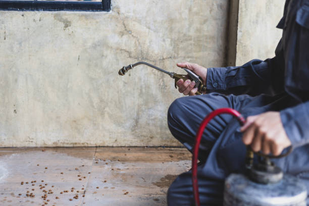 Best Best Pest Control Companies  in Onalaska, TX
